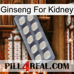 Ginseng For Kidney 08